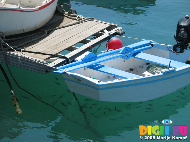 27624 Fish underneath boat in Corralejo harbour